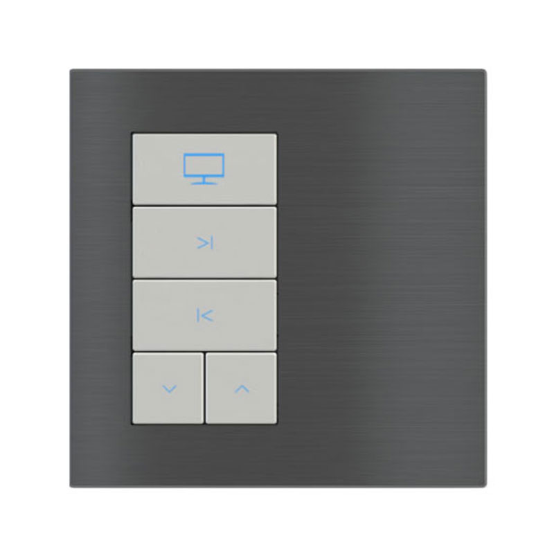 Titanium 5 button switch